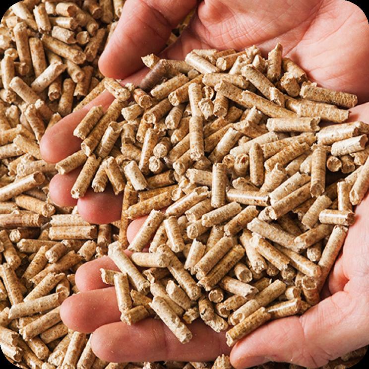 Biomass Wood Pellets