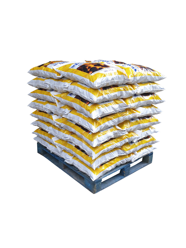 A pallet of pre-packed 25kg bags of Oxbow Newheat smokeless fuel briquettes.