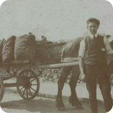 Picture of a coal man with a horse and cart